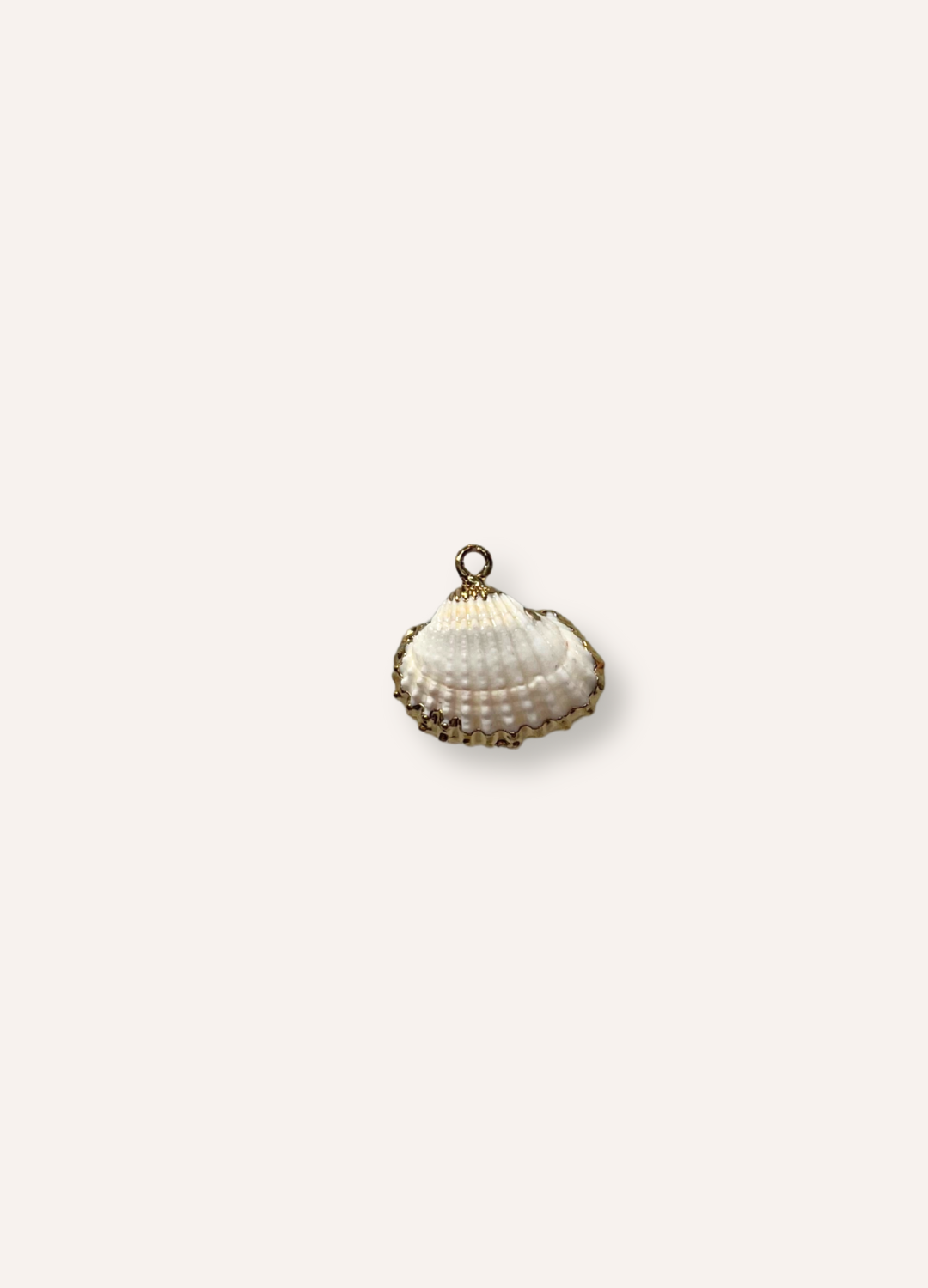 shell charm