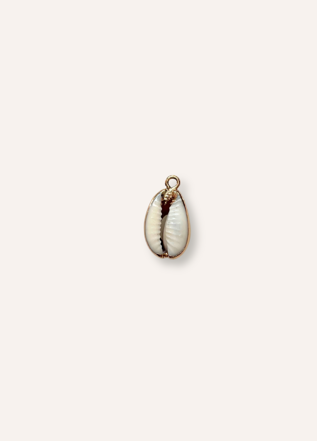 cowrie shell charm