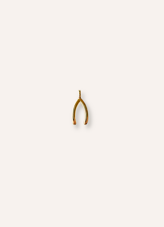 wishbone charm