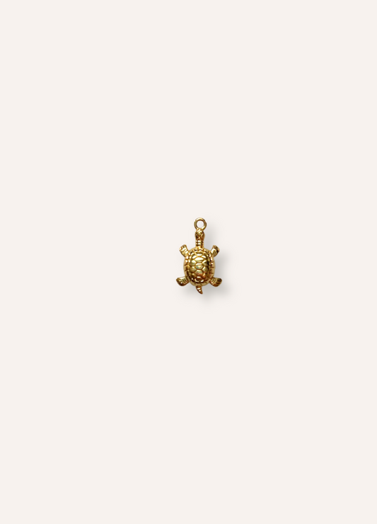 turtle charm
