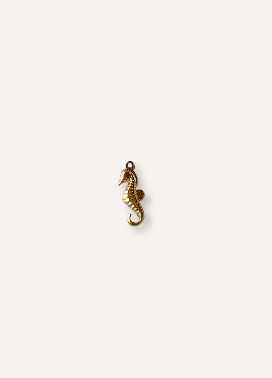 seahorse charm